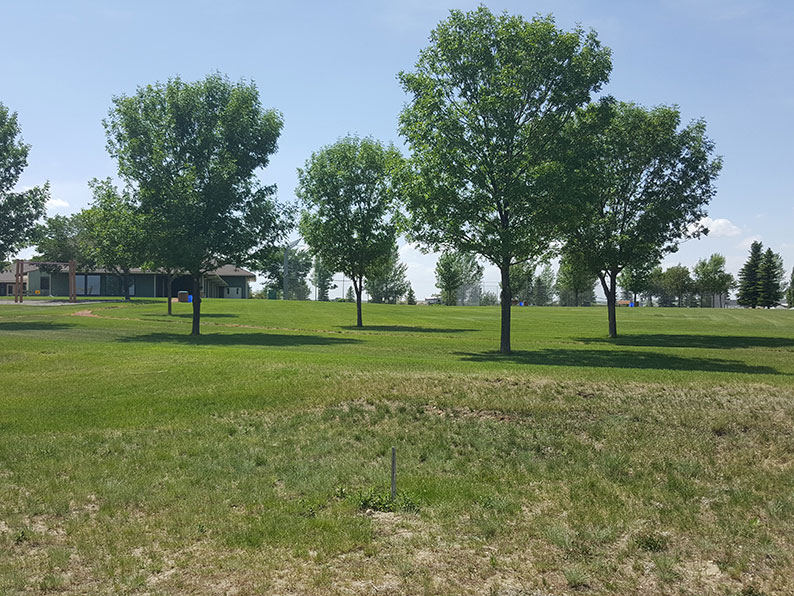 Magnuson Realty Ltd Vulcan Alberta Residential, Commercial