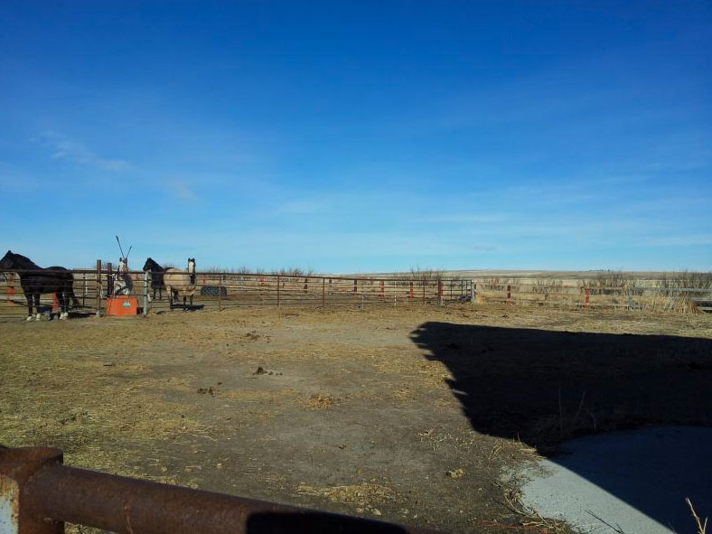 Magnuson Realty Ltd Vulcan Alberta Residential, Commercial