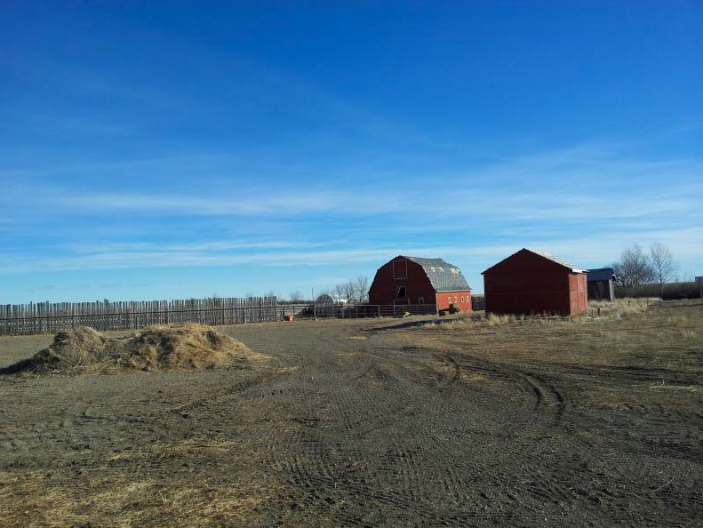 Magnuson Realty Ltd Vulcan Alberta Residential, Commercial