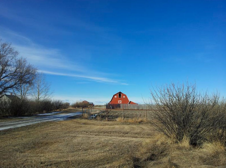 Magnuson Realty Ltd Vulcan Alberta Residential, Commercial