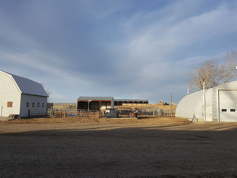 Magnuson Realty Ltd Vulcan Alberta Residential, Commercial