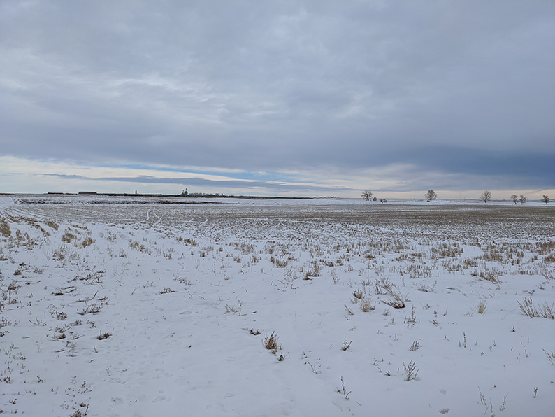 Magnuson Realty Ltd Vulcan Alberta Residential, Commercial